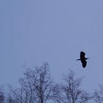 100_1331_2